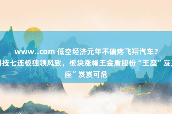 www..com 低空经济元年不偏疼飞翔汽车？立航科技七连板独领风致，板块涨幅王金盾股份“王座”岌岌可危