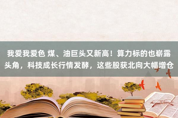 我爱我爱色 煤、油巨头又新高！算力标的也崭露头角，科技成长行情发酵，这些股获北向大幅增仓