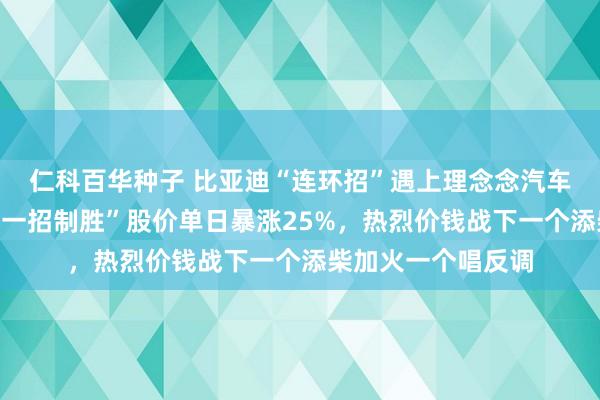 仁科百华种子 比亚迪“连环招”遇上理念念汽车王炸事迹：后者“一招制胜”股价单日暴涨25%，热烈价钱战下一个添柴加火一个唱反调