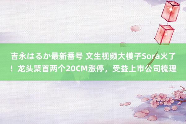 吉永はるか最新番号 文生视频大模子Sora火了！龙头聚首两个20CM涨停，受益上市公司梳理