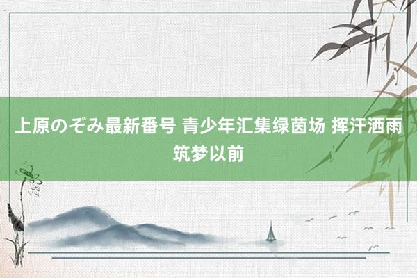 上原のぞみ最新番号 青少年汇集绿茵场 挥汗洒雨筑梦以前