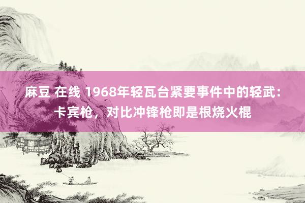 麻豆 在线 1968年轻瓦台紧要事件中的轻武：卡宾枪，对比冲锋枪即是根烧火棍