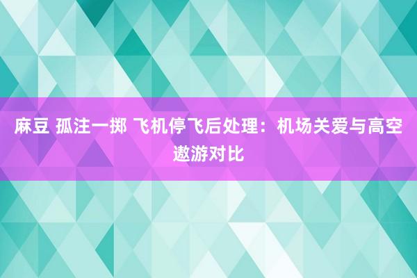 麻豆 孤注一掷 飞机停飞后处理：机场关爱与高空遨游对比