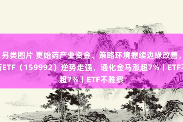 另类图片 更始药产业资金、策略环境握续边缘改善，更始药ETF（159992）逆势走强，通化金马涨超7%丨ETF不雅察