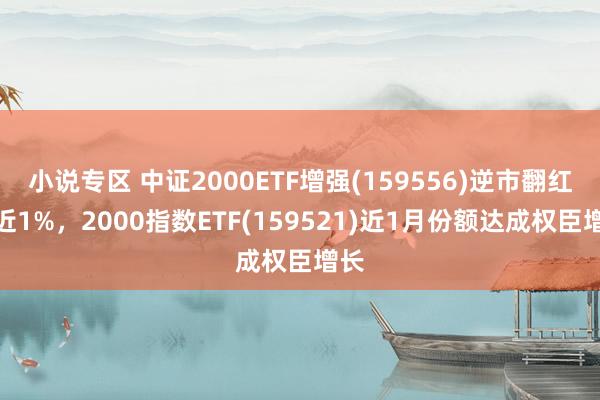 小说专区 中证2000ETF增强(159556)逆市翻红涨近1%，2000指数ETF(159521)近1月份额达成权臣增长