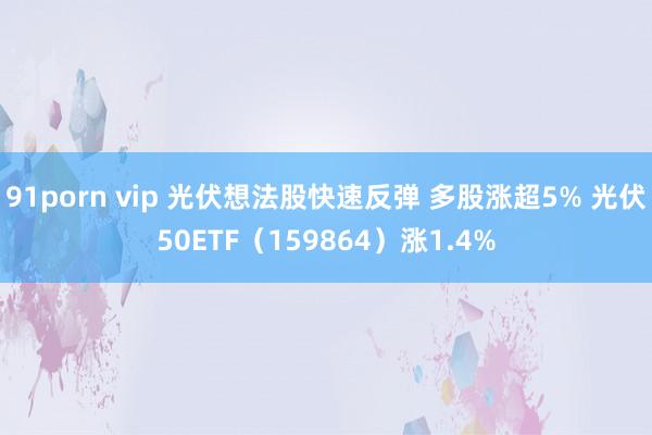 91porn vip 光伏想法股快速反弹 多股涨超5% 光伏50ETF（159864）涨1.4%