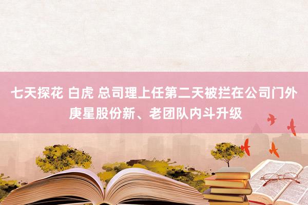 七天探花 白虎 总司理上任第二天被拦在公司门外 庚星股份新、老团队内斗升级