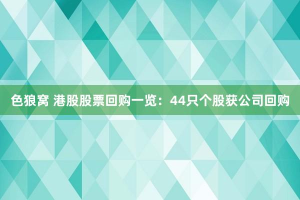 色狼窝 港股股票回购一览：44只个股获公司回购