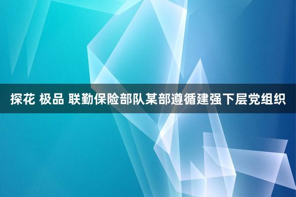 探花 极品 联勤保险部队某部遵循建强下层党组织