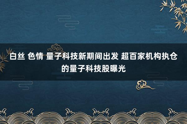 白丝 色情 量子科技新期间出发 超百家机构执仓的量子科技股曝光